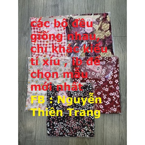 Đồ bộ tole lanh loại 1 cho người lớn quần đùi, lửng, dài từ 45-75kí | BigBuy360 - bigbuy360.vn