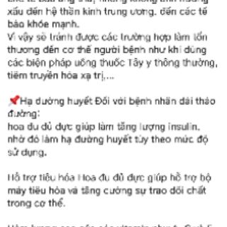 TRÀ LÁ HOA ĐU ĐỦ HÀ GIANG