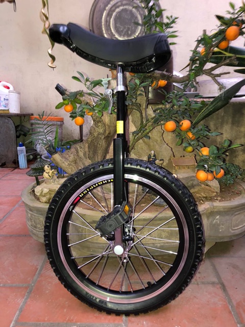 Xe đạp 1 bánh 18 inch - Màu Đen