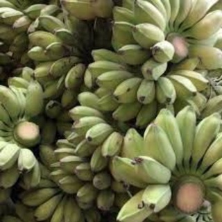 Chuối sáp , cau , xiêm