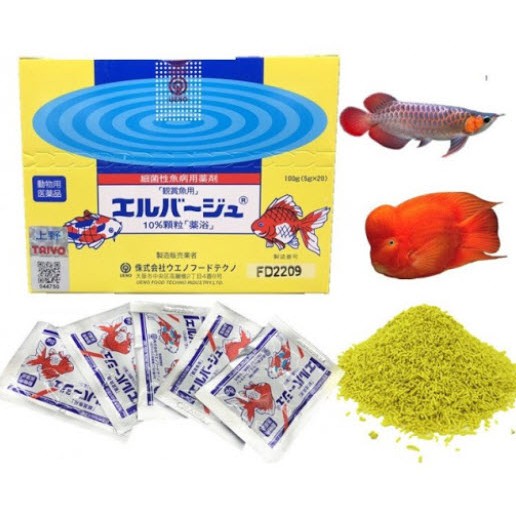 Tetra Nhật Gói 5G - Sản Phẩm Hỗ Trợ Cá Khỏe