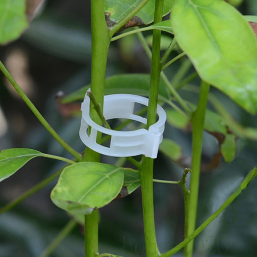 Set 50 Kẹp Hỗ Trợ Trồng Cây Tiện Lợi