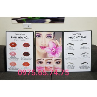 Tranh quy trình phun xăm thẩm mỹ Bộ 3 hình ảnh sắc nét chất liệu FOMEX tấm cứng siêu nhẹ độ dày 5LI kích thước 40x60x3