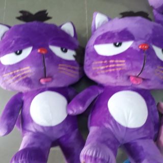 mèo dinga lớn 60cm