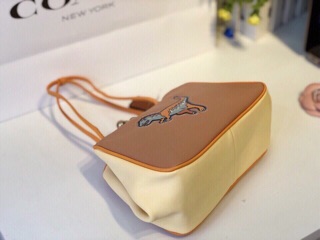 🆘RẺ VÔ ĐỊCH🆘Túi Coach khủng long mini