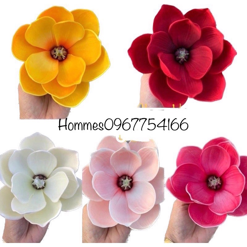 Sỉ đầu bông HOA MỘC LAN XỐP cao cấp sz to trang trí oản tài lộc, giỏ quà, làm đồ handmade