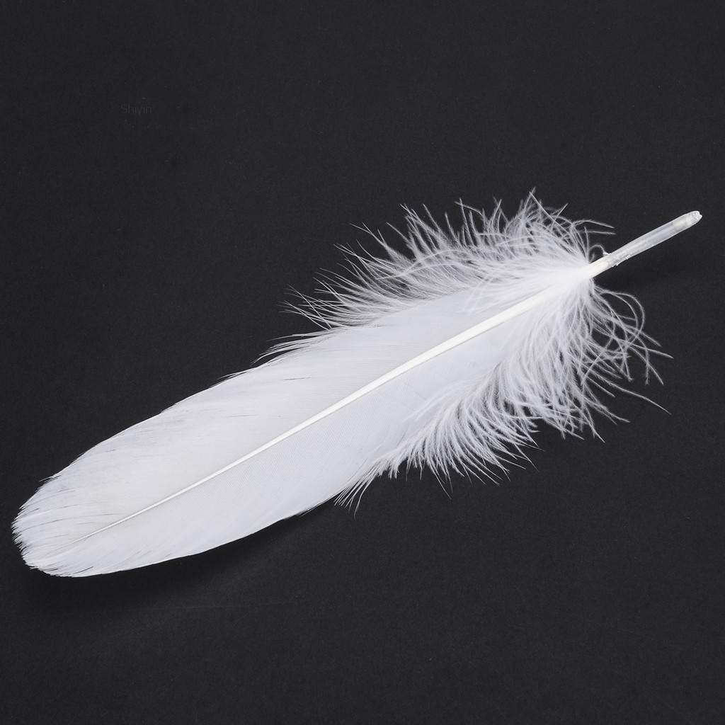 Set 50 lông ngỗng 6-8inch / 15-20cm dùng để làm đồ trang trí
