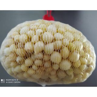 Củ nén Bình Sơn- Đặc sản Quảng Ngãi 500gram