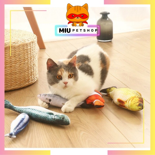 Cần câu lông vũ - cần câu đồ chơi giảm stress cho chó mèo