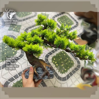 Cây Tùng Bonsai Bằng Nhựa  size 48 Trang Trí Tiểu Cảnh, Trang Trí Kèm Các Mẫu Tượng Mini