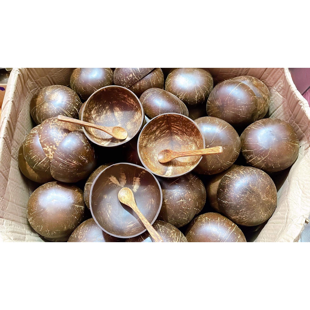 Chén / Bát gáo dừa + Muỗng gỗ dừa
