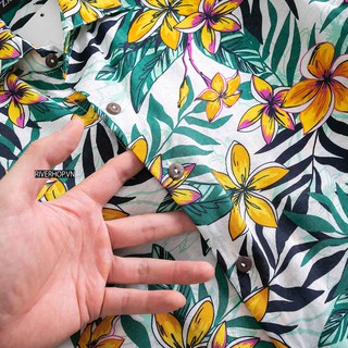 SƠ MI HAWAII ĐI BIỂN - DU LỊCH - SMC2142