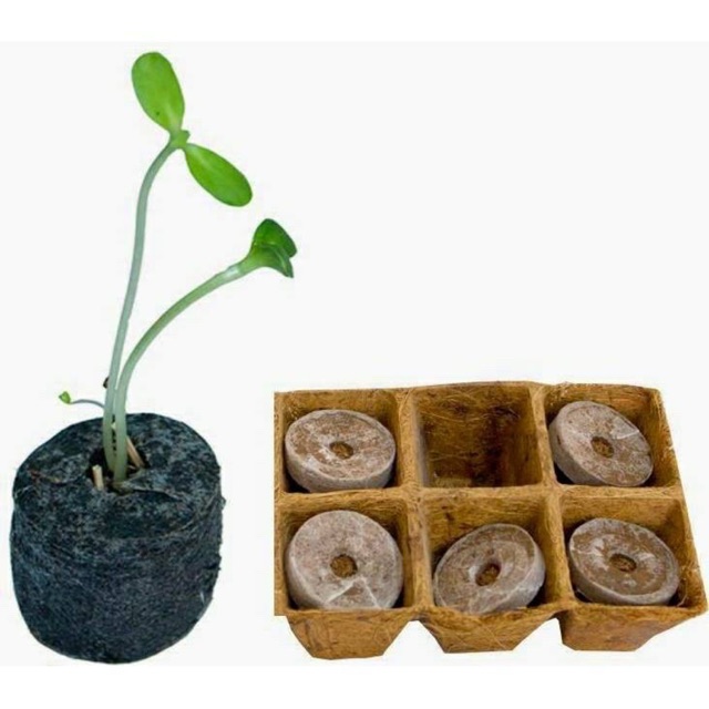 VIÊN NÉN ƯƠM HẠT GIỐNG