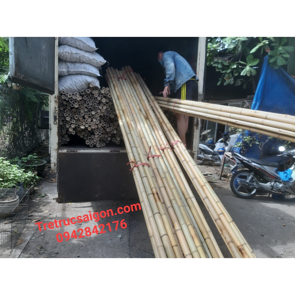 Cây tre trúc dài 2m - tretrucsaigon.com