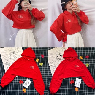 Combo 2 áo croptop có nón (nhắn tin chọn mẫu)