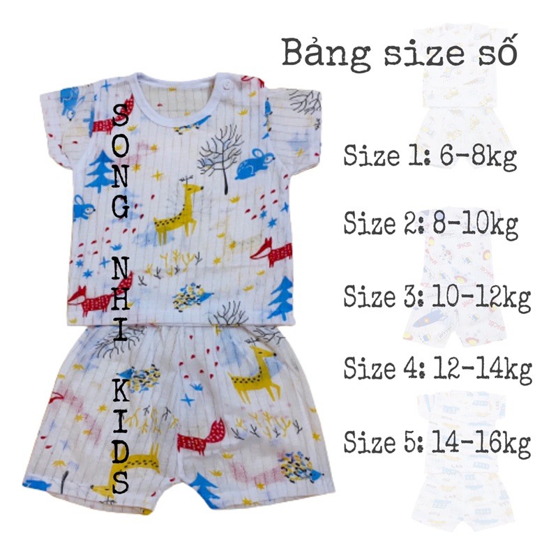 BỘ COTTON GIẤY CỘC TAY CHO BÉ 6-16KG