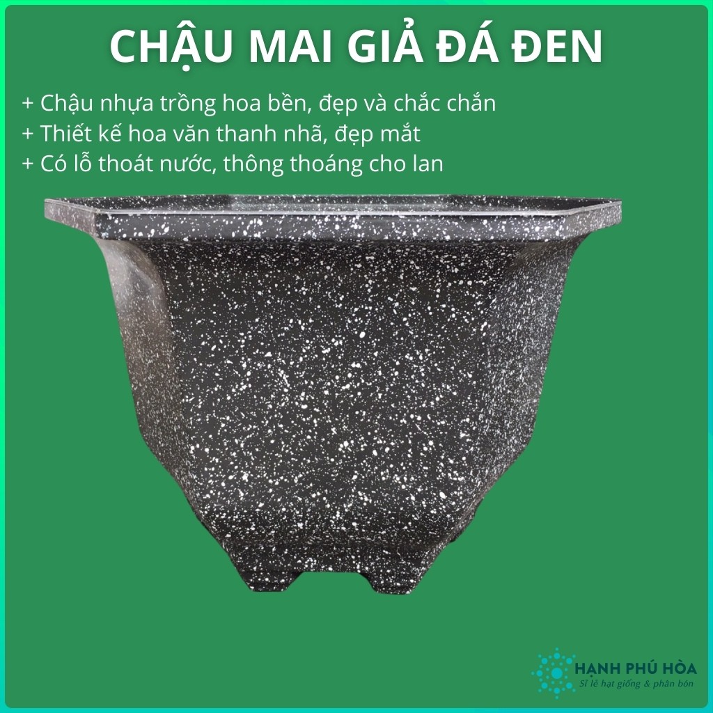 Chậu Mai Đen Giả Đá 210-280 -Trồng Hoa Lan, Cây Kiểng - Chậu Nhựa , Đẹp, Nhẹ, Chắc Chắn