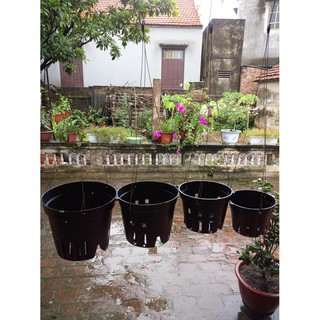 Chậu nhựa trồng lan ( chậu lan đen) nhiều size