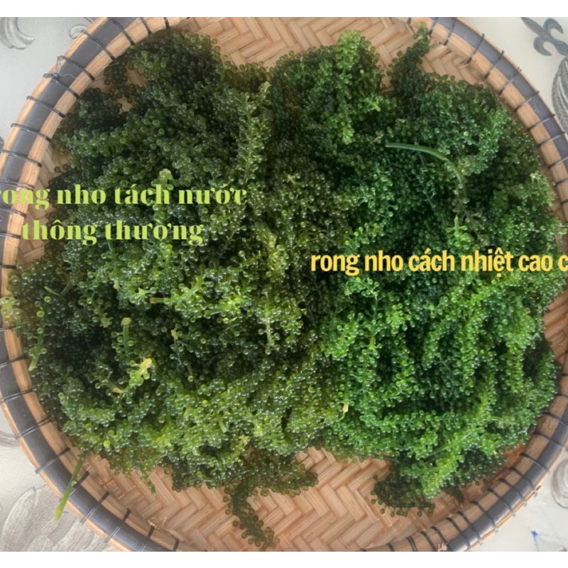 HOT [100g NỞ RA 300g] Rong Nho Tách Nước CÁCH NHIỆT CAO CẤP  - Giàu Dinh Dưỡng - Công Nghệ Tách Nước Tiêu Chuẩn Nhật