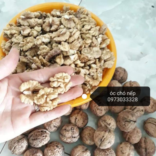 NHÂN ÓC CHÓ NẾP