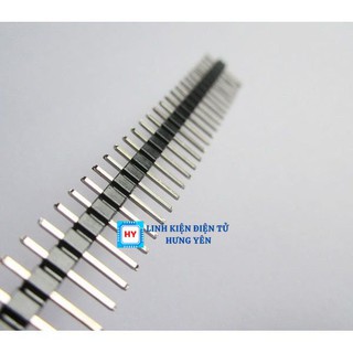 Hàng Rào Đực - Cái 40 Chân (Header Jum 2.54 40Pin)