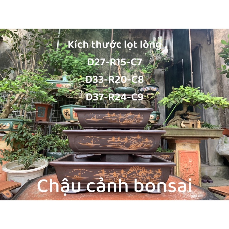 Chậu chữ nhật trồng cây bonsai ( có hỗ trợ vc cho khách => nhắn tin cho shop )