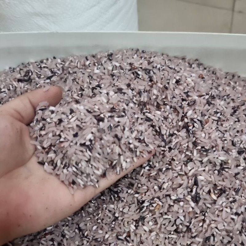 Gạo Nương Tím H'mông Gạo Mới Xay Sát
