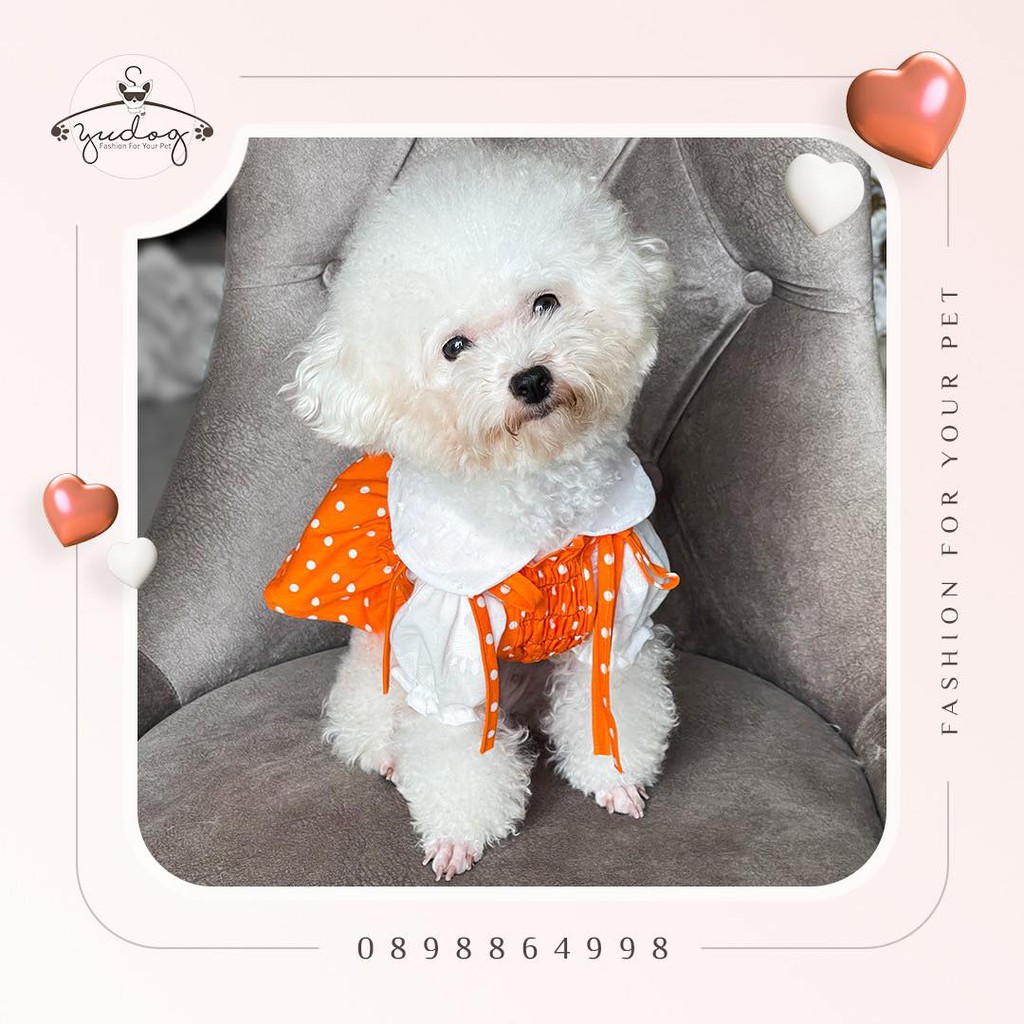 Set đầm dây bi cho thú cưng chó mèo yudog