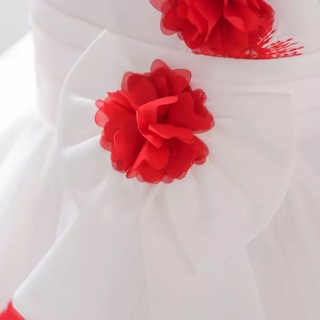 Váy dạ hội bé gái