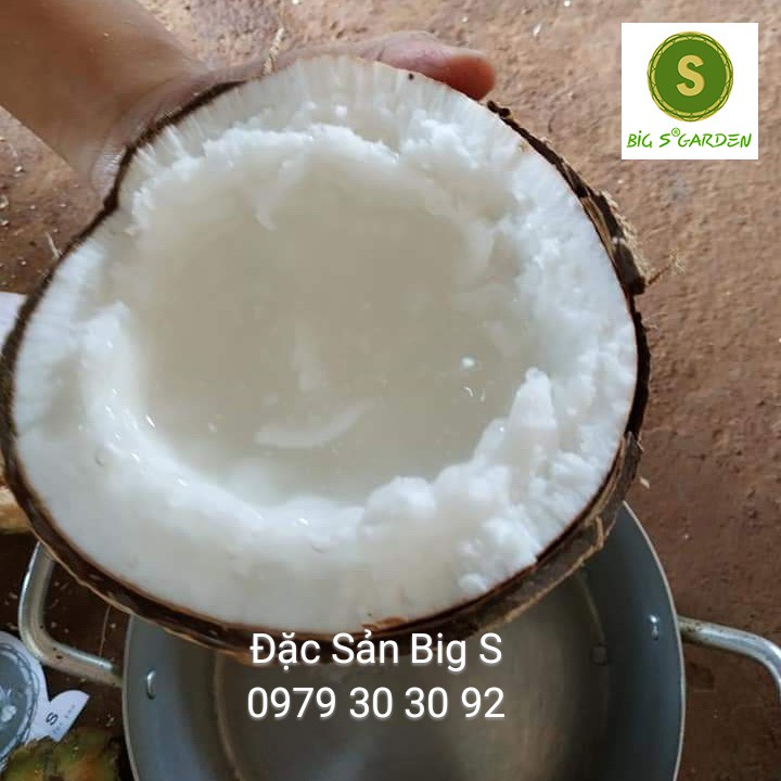 Dừa Sáp Loại Ngon, Đặc sản Trà Vinh, Bao hàng, sỉ lẻ toàn quốc | BigBuy360 - bigbuy360.vn