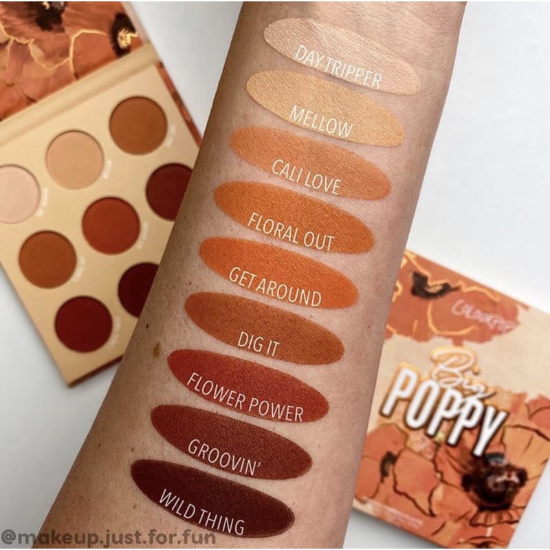 [GIÁ GOM SALE] bảng mắt lì Colourpop all matte Palette Big poppy | BigBuy360 - bigbuy360.vn
