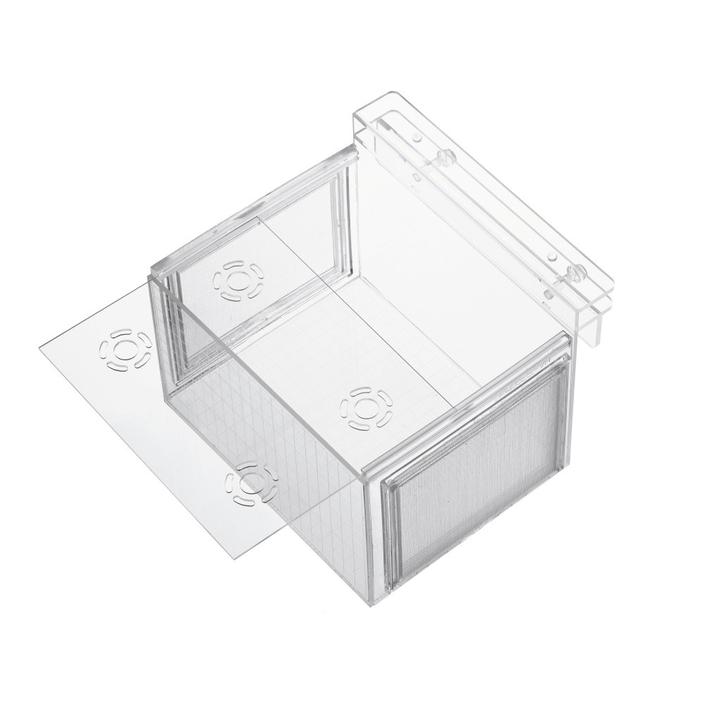 Box dưỡng cá tép 20*16*13cm Suối Nhỏ | lồng tách bầy | lồng sinh sản trong bể thuỷ sinh| lồng dưỡng lưới