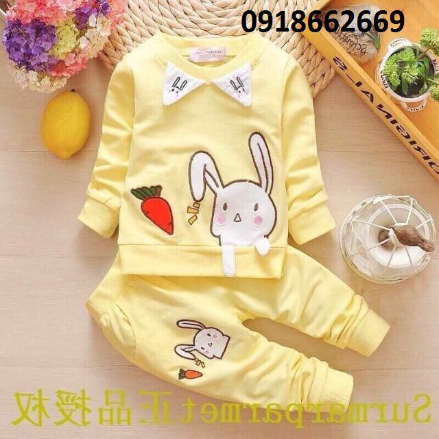 Bộ dài bé gái, set dài hoa tím , cotton 4 chiều size 5-20kg