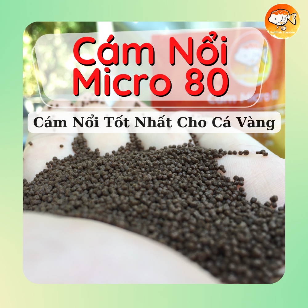 CÁM NỔI MICRO 80 TỐT NHẤT CHO CÁ VÀNG VÀ CÁC LOẠI CÁ CẢNH KHÁC TRONG GIAI ĐOẠN CÁ ĐANG PHÁT TRIỂN - ĐAM MÊ CÁ VÀNG