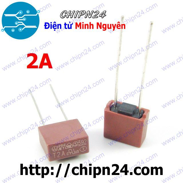 [2 CÁI] Cầu Chì Vuông 2A 250V (T2A250V)