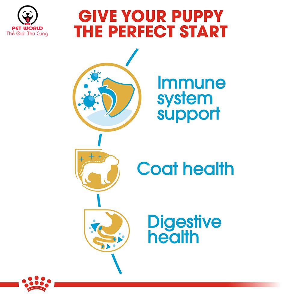 Hạt Royal Canin Poodle Puppy Cho Chó Con Poodle &lt;10 tháng