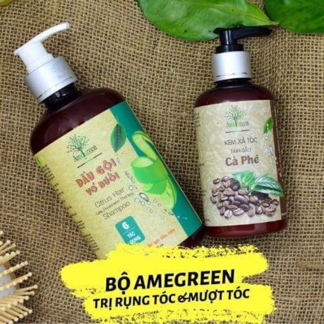 2 Combo Gội Xả Trị rụng tóc Amegreen