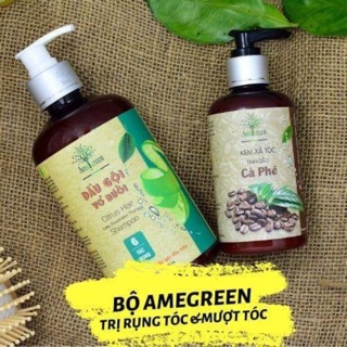 2 Combo Gội Xả Trị rụng tóc Amegreen