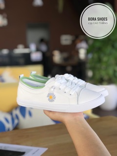 GIÀY THỂ THAO HOA CÚC
