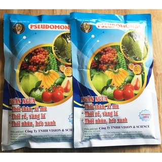 PSEUDOMONAS Chế Phẩm Sinh Học Trừ Bệnh Héo Xanh, Thối Cổ Rễ, Nứt Thân, Xì Mủ - Gói 500gr