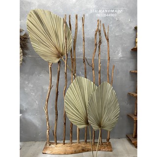 Lá Cọ _ Bông Lau Decor
