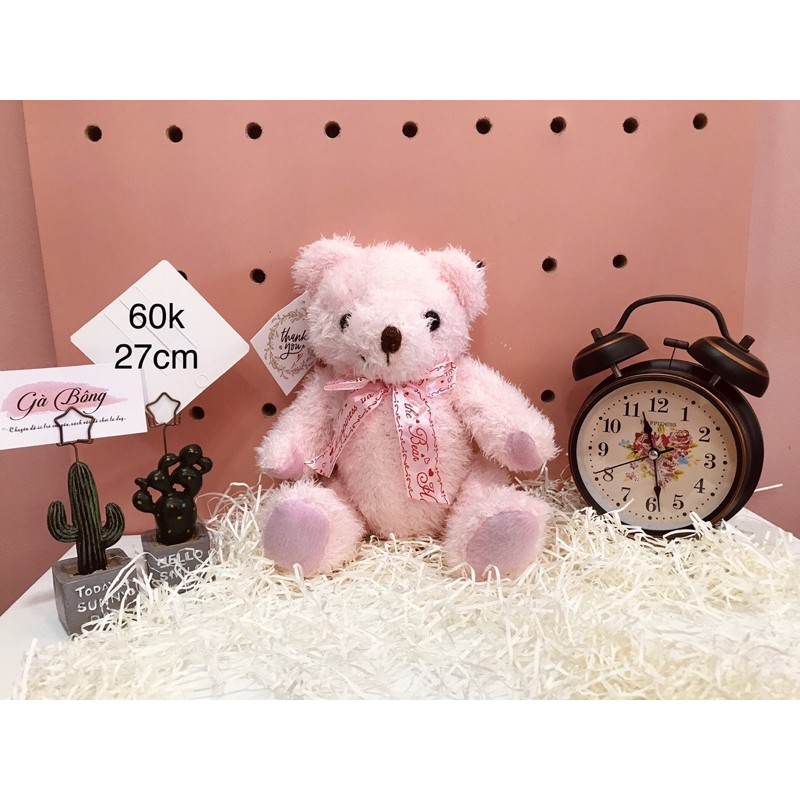 Gấu Si Teddy Úc Mỹ. Đã qua xử lí sạch sẽ