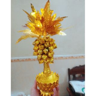 Cây đu đủ vàng