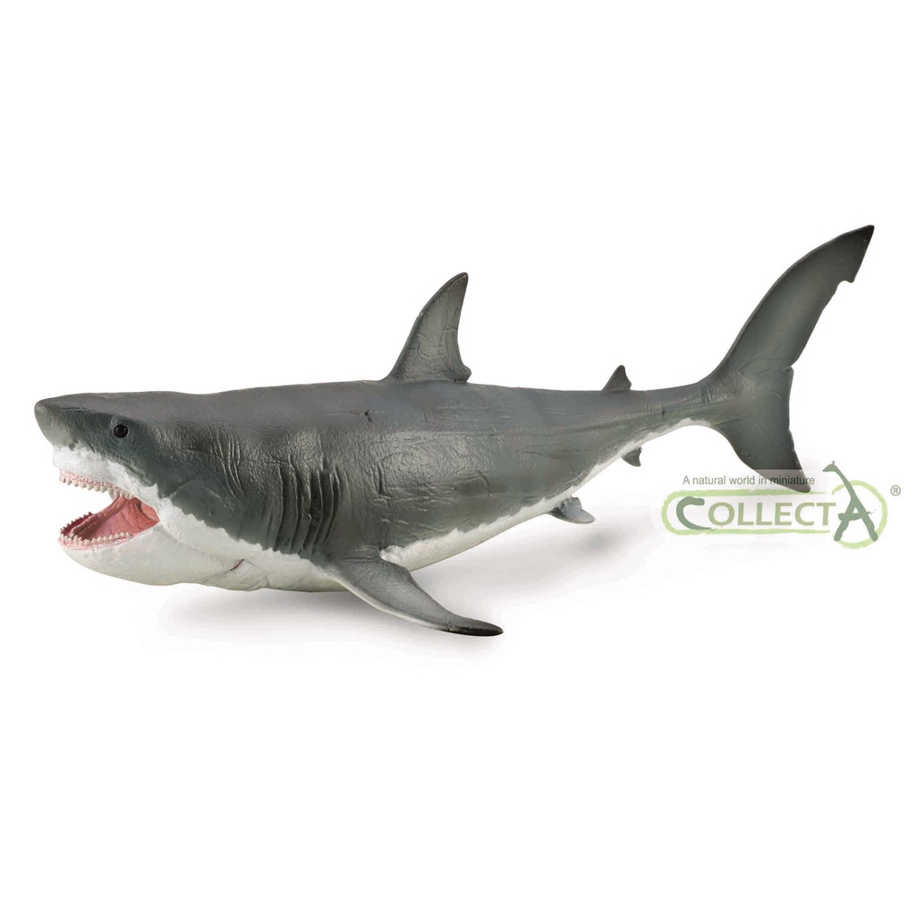 Mô hình động vật tiền sử Megalodon - Tỷ lệ 1:60