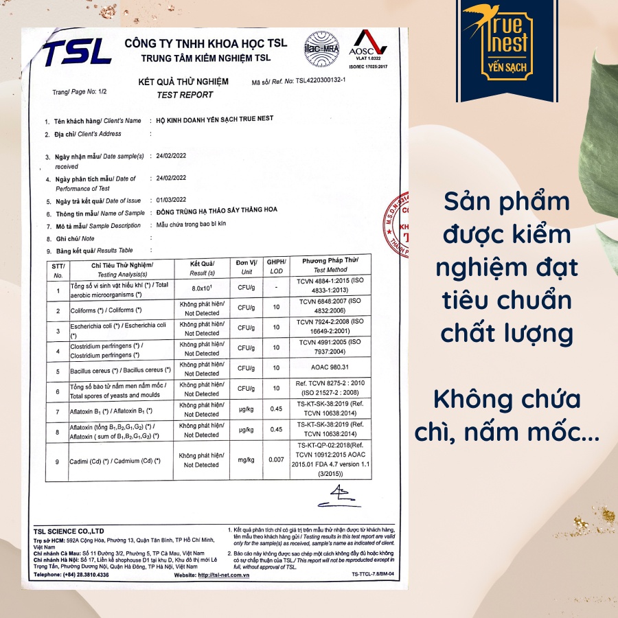 Nấm Đông Trùng Hạ Thảo True Nest - Sấy Thăng Hoa - 10g 20g