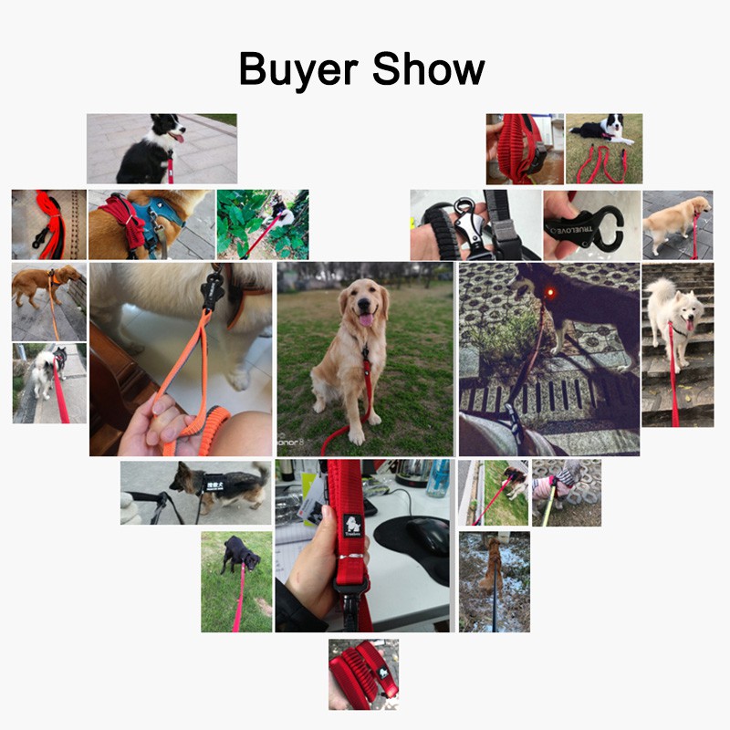 TRUELOVE Dây dắt bộ bằng nylon co giãn chất lượng dành cho thú cưng/có thể điều chỉnh