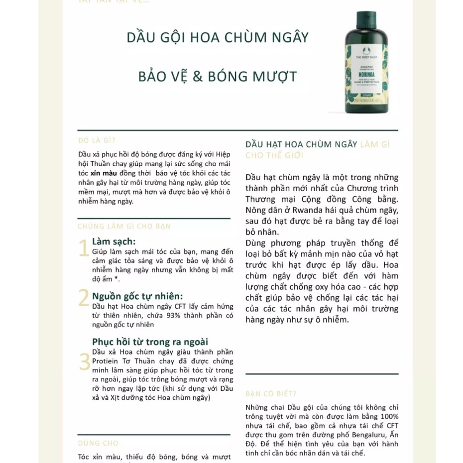 Dầu gội xả phục hồi tóc moringa the body shop shampoo gel 250ml
