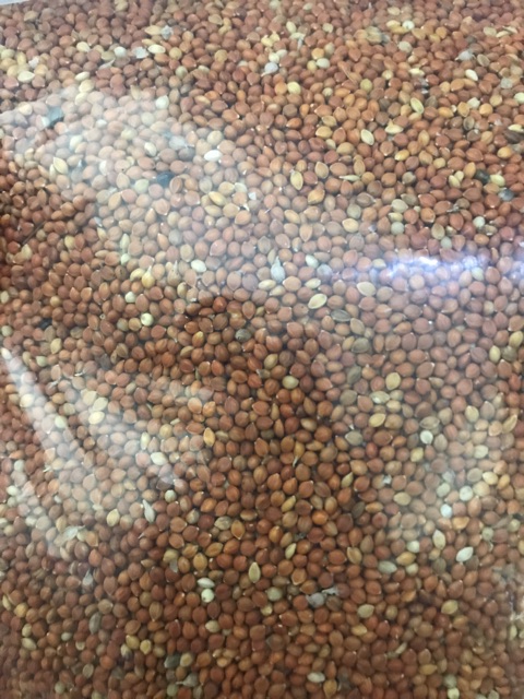 Hạt Kê vàng,kê đỏ loại to gói 500g