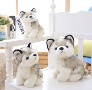 Chó bông husky - gấu bông