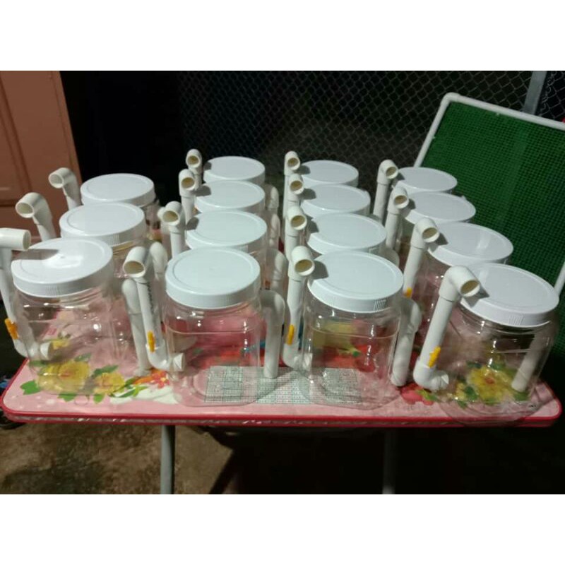 (quà tặng) lọc BIO tự chế